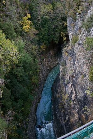 Canyon d'Añisclo, Curs de fotografia, Fotonatura, Ordesa, Ordesa09